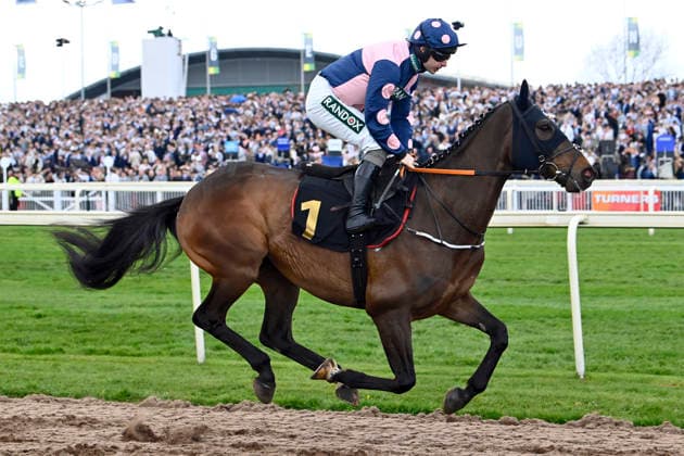 11.04.2026, Aintree, Liverpool, GBR - Alnilam with Sean Bowen. Aintree racecourse. (Pferd, Jockey, Alnilam, Bowen, Aufgalopp) 260411C911AINTREE.JPG *** 11 04 2026, Aintree, Liverpool, GBR Alnilam with Sean Bowen Aintree racecourse horse, jockey, Alnilam, Bowen, gallop 260411C911AINTREE JPG