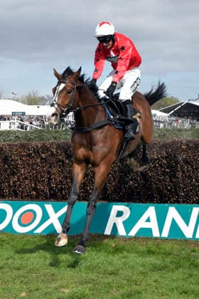 11.04.2026, Aintree, Liverpool, GBR - Mirabad with Tristan Durrell up wins the Maghull Novices Chase. Aintree racecourse. (Pferd, Jockey, Mirabad, Durrell, Sprung, springen, Hindernis, Hindernisrennen, Jagderennen, Steeple-Chase) 260411C915AINTREE.JPG *** 11 04 2026, Aintree, Liverpool, GBR Mirabad with Tristan Durrell up wins the Maghull Novices Chase Aintree racecourse horse, jockey, Mirabad, Durrell, jump, jumping, obstacle, steeplechase, Steeple Chase 260411C915AINTREE JPG