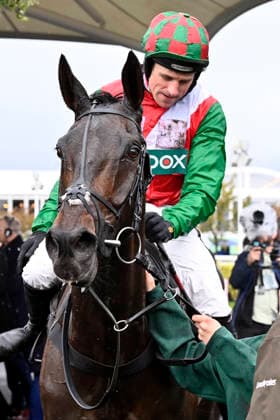 11.04.2026, Aintree, Liverpool, GBR - Bossman Jack with Harry Skelton up after winning the Mersey Novices Hurdle. Aintree racecourse. (Pferd, Jockey, Bossman Jack, Skelton, Sieg) 260411C923AINTREE.JPG *** 11 04 2026, Aintree, Liverpool, GBR Bossman Jack with Harry Skelton up after winning the Mersey Novices Hurdle Aintree racecourse horse, jockey, Bossman Jack, Skelton, victory 260411C923AINTREE JPG