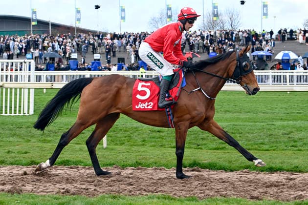 11.04.2026, Aintree, Liverpool, GBR - Home by the Lee with James Joseph Slevin. Aintree racecourse. (Pferd, Jockey, Home by the Lee, Slevin, Aufgalopp) 260411C926AINTREE.JPG *** 11 04 2026, Aintree, Liverpool, GBR Home by the Lee with James Joseph Slevin Aintree racecourse horse, jockey, Home by the Lee, Slevin, gallop 260411C926AINTREE JPG