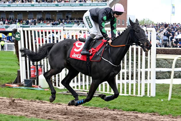 11.04.2026, Aintree, Liverpool, GBR - Strong Leader with Sean Bowen. Aintree racecourse. (Pferd, Jockey, Strong Leader, Bowen, Aufgalopp) 260411C931AINTREE.JPG *** 11 04 2026, Aintree, Liverpool, GBR Strong Leader with Sean Bowen Aintree racecourse horse, jockey, Strong Leader, Bowen, gallop 260411C931AINTREE JPG