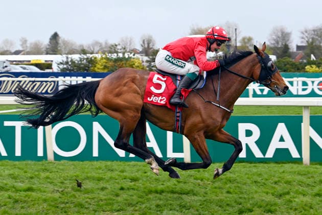 11.04.2026, Aintree, Liverpool, GBR - Home by the Lee with James Joseph Slevin up wins the Liverpool Hurdle. Aintree racecourse. (Pferd, Jockey, Home by the Lee, Slevin, Sieg, Ziel, Zielankunft) 260411C936AINTREE.JPG *** 11 04 2026, Aintree, Liverpool, GBR Home by the Lee with James Joseph Slevin up wins the Liverpool Hurdle Aintree racecourse horse, jockey, Home by the Lee, Slevin, win, finish, finish 260411C936AINTREE JPG