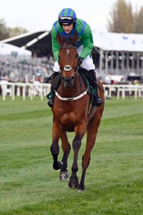 11.04.2026, Aintree, Liverpool, GBR - Champ Kiely with Danny Mullins. Aintree racecourse. (Pferd, Jockey, Champ Kiely, Mullins, Aufgalopp) 260411C939AINTREE.JPG *** 11 04 2026, Aintree, Liverpool, GBR Champ Kiely with Danny Mullins Aintree racecourse horse, jockey, Champ Kiely, Mullins, gallop 260411C939AINTREE JPG