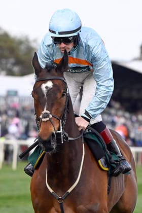 11.04.2026, Aintree, Liverpool, GBR - Beauport with Sam Twiston-Davies. Aintree racecourse. (Pferd, Jockey, Beauport, Twiston-Davies, Aufgalopp) 260411C942AINTREE.JPG *** 11 04 2026, Aintree, Liverpool, GBR Beauport with Sam Twiston Davies Aintree racecourse horse, jockey, Beauport, Twiston Davies, gallop 260411C942AINTREE JPG