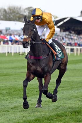 11.04.2026, Aintree, Liverpool, GBR - Imperial Saint with Callum Pritchard. Aintree racecourse. (Pferd, Jockey, Imperial Saint, Pritchard, Aufgalopp) 260411C943AINTREE.JPG *** 11 04 2026, Aintree, Liverpool, GBR Imperial Saint with Callum Pritchard Aintree racecourse horse, jockey, Imperial Saint, Pritchard, gallop 260411C943AINTREE JPG