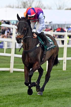 11.04.2026, Aintree, Liverpool, GBR - Haiti Couleurs with Sean Bowen. Aintree racecourse. (Pferd, Jockey, Haiti Couleurs, Bowen, Aufgalopp) 260411C945AINTREE.JPG *** 11 04 2026, Aintree, Liverpool, GBR Haiti Couleurs with Sean Bowen Aintree racecourse horse, jockey, Haiti Couleurs, Bowen, gallop 260411C945AINTREE JPG