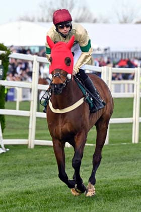 11.04.2026, Aintree, Liverpool, GBR - Twig with Beau Morgan. Aintree racecourse. (Pferd, Jockey, Twig, Morgan, Aufgalopp) 260411C946AINTREE.JPG *** 11 04 2026, Aintree, Liverpool, GBR Twig with Beau Morgan Aintree racecourse horse, jockey, Twig, Morgan, gallop 260411C946AINTREE JPG