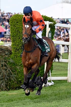 11.04.2026, Aintree, Liverpool, GBR - Panic Attack with Harry Skelton. Aintree racecourse. (Pferd, Jockey, Panic Attack, Skelton, Aufgalopp) 260411C947AINTREE.JPG *** 11 04 2026, Aintree, Liverpool, GBR Panic Attack with Harry Skelton Aintree racecourse horse, jockey, Panic Attack, Skelton, gallop 260411C947AINTREE JPG