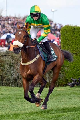 11.04.2026, Aintree, Liverpool, GBR - Iroko with Jonjo O Neill. Aintree racecourse. (Pferd, Jockey, Iroko, O Neill, Aufgalopp) 260411C948AINTREE.JPG *** 11 04 2026, Aintree, Liverpool, GBR Iroko with Jonjo O Neill Aintree racecourse horse, jockey, Iroko, O Neill, gallop 260411C948AINTREE JPG