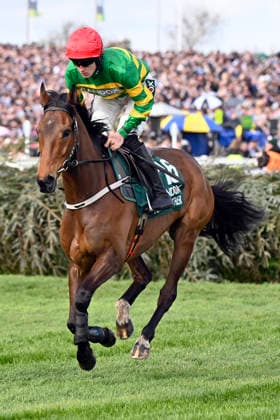 11.04.2026, Aintree, Liverpool, GBR - Oscars Brother with Daniel King. Aintree racecourse. (Pferd, Jockey, Oscars Brother, King, Aufgalopp) 260411C950AINTREE.JPG *** 11 04 2026, Aintree, Liverpool, GBR Oscars Brother with Daniel King Aintree racecourse horse, jockey, Oscars Brother, King, gallop 260411C950AINTREE JPG