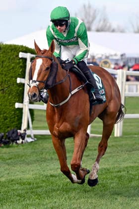 11.04.2026, Aintree, Liverpool, GBR - Spanish Harlem with Brian Hayes. Aintree racecourse. (Pferd, Jockey, Spanish Harlem, Hayes, Aufgalopp) 260411C951AINTREE.JPG *** 11 04 2026, Aintree, Liverpool, GBR Spanish Harlem with Brian Hayes Aintree racecourse horse, jockey, Spanish Harlem, Hayes, gallop 260411C951AINTREE JPG
