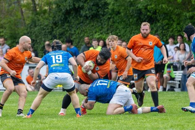 Rugby Bundesliga, Saison 2025 26, 14. Spieltag: SC Neuenheim gegen RG Heidelberg