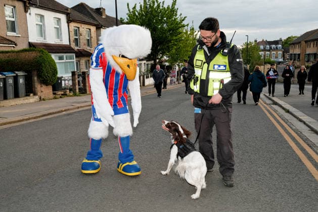 Crystal Palace v West Ham United 20 April 2026, London - Premier League Football - Crystal Palace v West Ham United - The Crystal Palace mascot attempts to pet a dog - Photo: Jacques Feeney Offside. London UK Copyright: xJacquesxFeeneyx xOffsidexOffside