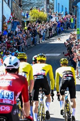 The pack of riders pictured with a dog on the road in action during the men elite race of the Liege-Bastogne-Liege UCI World Tour one day cycling race, 259,5km from Liege, over Bastogne to Liege, Sunday 26 April 2026. MAARTENxSTRAETEMANS  x172072805x