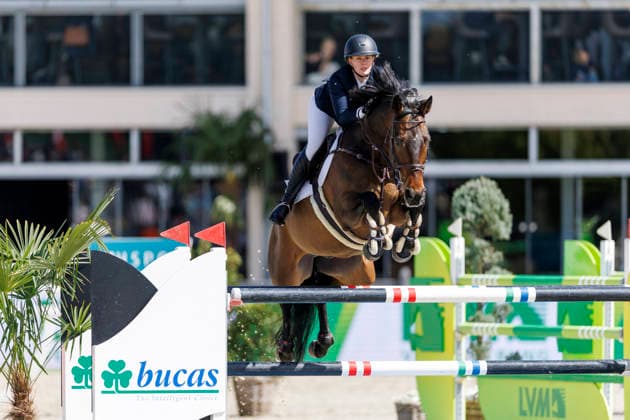 Sport Bilder des Tages HAGEN a.T.W. - 20 Years Horses & Dreams 2026, HAGEN a.T.W. - 20 Years Horses & Dreams 2026 BLAU Clara (GER), PAUL Deutschlands U25 Springpokal der Stiftung Deutscher Pferdesport und Holger Hetzel Springprüfung mit Stechen (1,50 m) Finalqualifikation Hagen a.T.W., Hof Kasselmann 26. April 2026 - *** HAGEN a T W 20 Years Horses Dreams 2026, HAGEN a T W 20 Years Horses Dreams 2026 BLAU Clara GER , PAUL Deutschlands U25 Springpokal der Stiftung Deutscher Pferdesport and Holger Hetzel jumping competition with jump-off 1.50 m final qualification Hagen a T W , Hof Kasselmann April 26, 2026