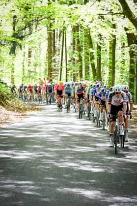 The pack of riders pictured in action during the men elite race of the Liege-Bastogne-Liege UCI World Tour one day cycling race, 259,5km from Liege, over Bastogne to Liege, Sunday 26 April 2026. MAARTENxSTRAETEMANS  x172081800x