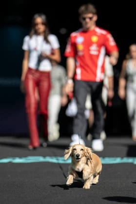 Practice Session F1 Grand Prix of Miami 16 Charles Leclerc (Ferrari) and his wife Alexandre de Saint Mleux and Leo, the dog, before practice session of the F1 Grand Prix of Miami at Miami International Autodrome on May 1, 2026 in Miami Florida . Photo by Eliot Blondet ABACAPRESS.COM Miami Florida  Copyright: xBlondetxEliot ABACAx