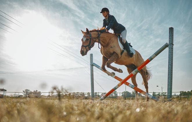 Training, jump and woman on a horse for a course, event or show on a field in Norway. Equestrian, jumping and girl doing a horseback riding obstacle during a jockey race, hobby or in nature. (License=RF) 19870409 ,model released, Symbolfoto  Copyright: xZoonar.com YurixArcursxpeopleimages.comx 19870409 ,model released, Symbolfoto ,property released