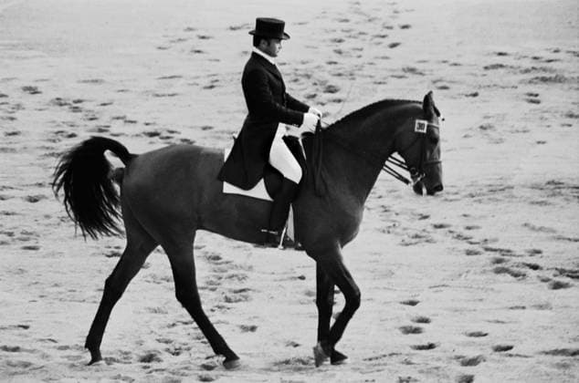 Moscow, USSR. Bronze medallist of the 1980 Summer Olympics in dressage, Soviet athlete Viktor Ugryumov on the horse Shkval competes in the individual competition at the riding ground of the Trade Unions Equestrian Complex. Sergei Metelitsa TASS  17204791