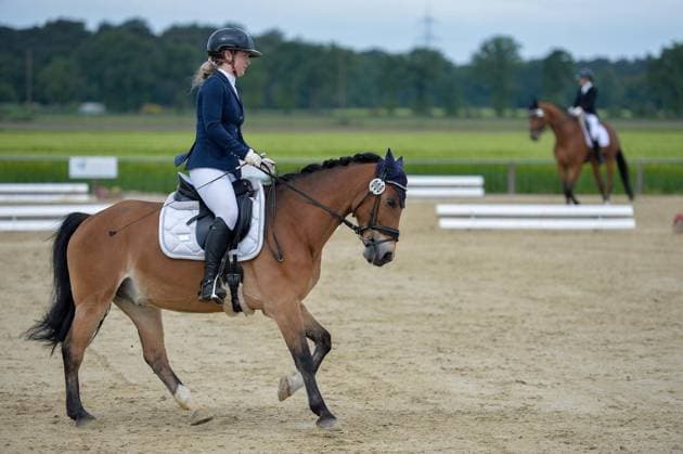 Reiten Jubiläumsturnier beim RuFV Bruckhausen ** NUR FÜR REDAKTIONELLE ZWECKE ** EDITORIAL USE ONLY **<p>Ela Maria Zender, RFV Dinslaken-Hiesfeld e. V., reitet (Dressurprüfung Kl.A**) am Sonntag, den 17.05.2026, in Hünxe. Deutschland NRW Voerde Copyright: OleksandrxVoskresenskyi