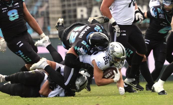 Niedergerungen . . . Munichs 52 Wael NASRI bezwingt Tirols 26. American Football: Munich Ravens - Raiders Tirol. {extendeddeysc}, am 17.05.2026 in {city taken}, S T A D I O N A N D E R G R U E N W A L D E R S T R A S S E, Deutschland. Quelle Copyright Credit : Oryk HAIST