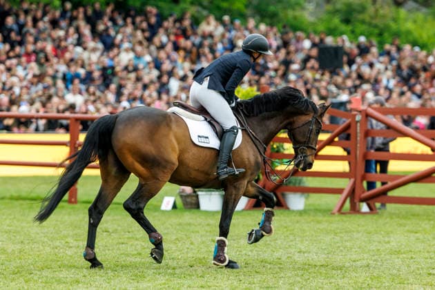 HAMBURG - Al Shira aa 95. Deutsches Spring- und Dressur DERBY 2026, HAMBURG - Al Shira aa 95. Deutsches Spring- und Dressur DERBY 2026 BLAU Clara (GER), Paul Melitta presents: 94. German Jumping-Derby Al Shira aa Derby Tour CSI4*: Int. jumping competition with jump-off (1,55m) Hamburg, Jenischpark, Derby Park Klein Flottbek 17. May 2026 -