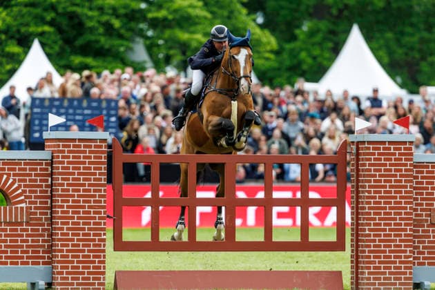 HAMBURG - Al Shira aa 95. Deutsches Spring- und Dressur DERBY 2026, HAMBURG - Al Shira aa 95. Deutsches Spring- und Dressur DERBY 2026 TILLMANN Frederic (GER), DSP Comanche VL Stechen Jump-Off Melitta presents: 94. German Jumping-Derby Al Shira aa Derby Tour CSI4*: Int. jumping competition with jump-off (1,55m) Hamburg, Jenischpark, Derby Park Klein Flottbek 17. May 2026 -