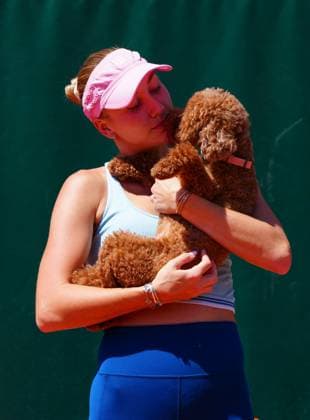 The toy poodle of Anastasia Potapova attends her training session with Emma Raducanu French Open Tennis, Friday Previews, Qualifying and Practice, Tennis, Roland Garros, Paris, France - 22 May 2026Paris Roland Garros France EDITORIAL USE ONLY No use with unauthorised audio, video, data, fixture lists, club league logos or live services. Online in-match use limited to 120 images, no video emulation. No use in betting, games or single club league player publications.  Copyright: xJavierxGarcia Shutterstockx 16887306bb