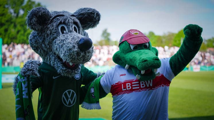 Fußball, A-Junioren, Saison 2025 2026, DFB Pokal, Finale, VfB Stuttgart U19 vs. VfL Wolfsburg U19, Freitag 22.05.2026, Karl-Liebknecht-Stadion Potsdam, Im Bild: Maskottchen Wölfi (l.) und Fritzel (r.) Brandenburg Deutschland