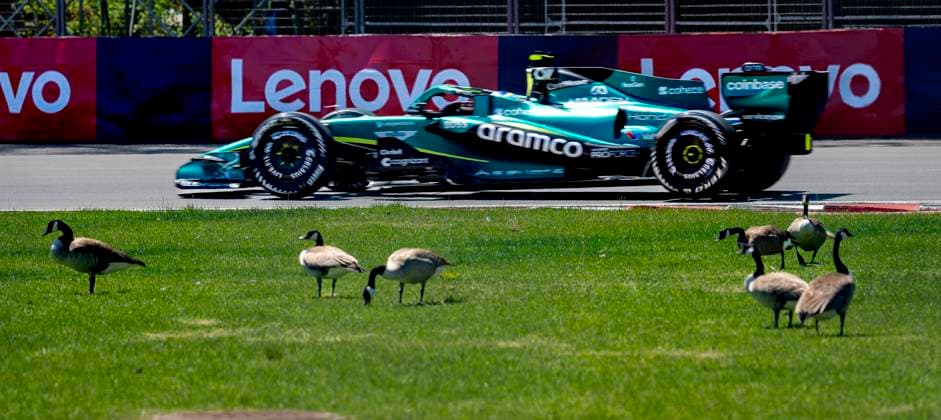 MONTREAL - Birds remain undisturbed on the grass while the Formula 1 cars speed past during Formula 1 Canada at the Circuit Gilles Villeneuve on May 22, 2026, in Montreal, Canada. (Photo by DeFodi Images) -