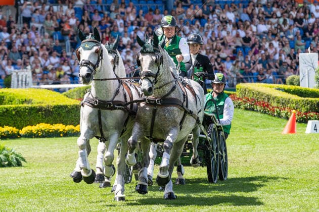 Team Iris Michels Bram Chardon during the TSCHIO 2026 (CHIO 2026) - MERKUR CASINO-Cup - Combined jumping and driving competition at the Allianz Park in Aachen, Germany  Copyright: xMartinxPitschx xSPPx Sportspressphoto_152184