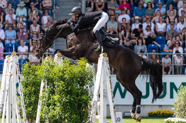 129 Sandra Auffarth on Comcador Old (GER) during the TSCHIO 2026 (CHIO 2026) - 2nd Qualifier Rolex Grand Prix - CSI5* - Jumping competition with jump-off at the Allianz Park in Aachen, Germany  Copyright: xMartinxPitschx xSPPx Sportspressphoto_152453