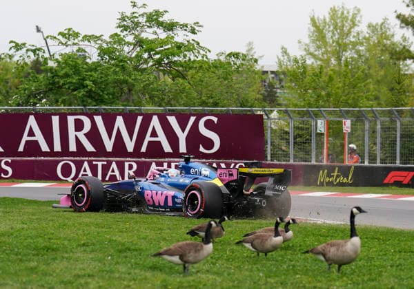FORMULA ONE CANADIAN GRAND PRIX 2026 Pierre Gasly 10 (FRA) Alpine running wide in qualifying close to Canada geese during the Formula 1 Lenovo Canadian Grand Prix 2026, 5th round of the 2026 Formula One World Championship, WM, Weltmeisterschaft from May 22 to 24, 2026 at the Circuit Gilles Villeneuve, Montreal, Canada Credit: Robbie Hoad Every Second Media Editorial use only. All images are copyright Every Second Media Limited. No images may be reproduced without prior permission. Copyright: xIMAGO EveryxSecondxMediax ESM-2005-0381 RobbiexHoadx xEveryxSecondxMediax