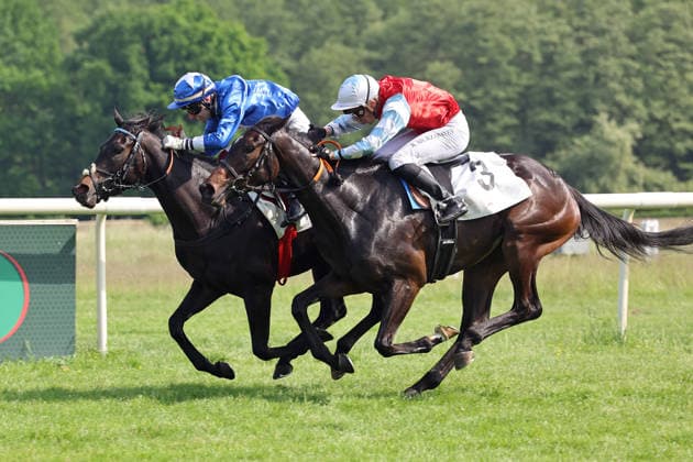 24.05.2026, Hoppegarten, Brandenburg, GER - Gua Lipa (links) mit Andrea Ricupa gewinnt das Diana-Trial. Galopprennbahn Hoppegarten. () 260524D703HOPPEGARTEN.JPG