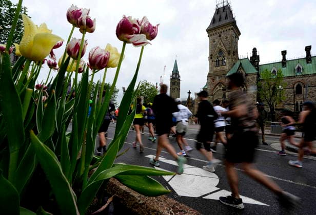 May 24, 2026, Ottawa, On, CAN: Runners pass tulips lining Wellington Street near Parliament Hill s Peace Tower as they start the Ottawa Marathon in Ottawa, on Sunday, May 24, 2026. Canada News - May 24, 2026  - ZUMAc35_ 0857449647st Copyright: xJustinxTangx