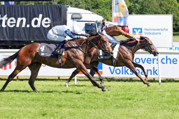 25.05.2026, Hannover, Niedersachsen, GER - Alpenveilchen mit Bauyrzhan Murzabayev gewinnt. Galopprennbahn Hannover, Neue Bult. () 260525D974HANNOVER.JPG