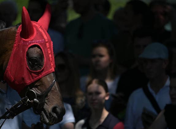 25.05.2026, xophax, kölngalopp , Rennbahn Weidenpesch , Benefiz Renntag , Pferd mit Scheukappen. Koeln