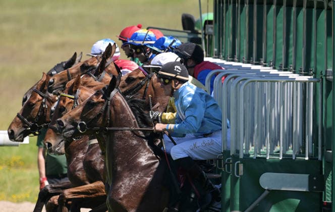 25.05.2026, xophax, kölngalopp , Rennbahn , Weidenpesch , Benefiz Renntag , Start in das Rennen. Vorn Martin Seidl mit dem Pferd Elegant Motivation. Koeln