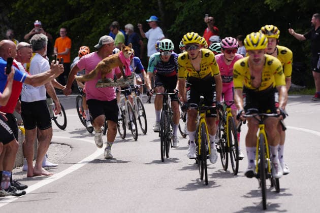 The pack rides during Stage 20 of the Giro d™Italia, from Gemona del Friuli to Piancavallo, Italy, Saturday,May 30, 2026.  Copyright: xFabioxFerrarix xLaPressex