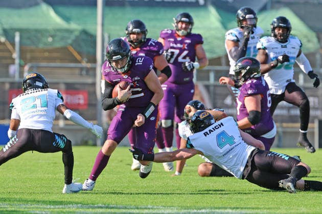 Quarterback Ethan Garbers (Frankfurt Galaxy Nr. 12) ist immer zu eigenen Läufen gezwungen, Frankfurt Galaxy - Munich Ravens, American Football, EFA, The European Football Alliance, Saison 2026, Bornheimer Hang, 30.05.2026, Frankfurt Bornheimer Hang Deutschland