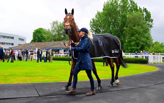 Newton Abbot Races, Newton Abbot, UK - 3 June 2026 Tiger Tobin wins best turned out. Race 1 - 2:30 Newton Abbot - Sun Racing Free Tickets With Sun Club Maiden Hurdle (GBB Race) (Class 4) at Newton Abbot Racecourse, Newton Abbot, Devon, England - Newton Abbot Newton Abbot Racecourse Devon England Copyright: xPhilxMingo PPAUKx PPA-278664