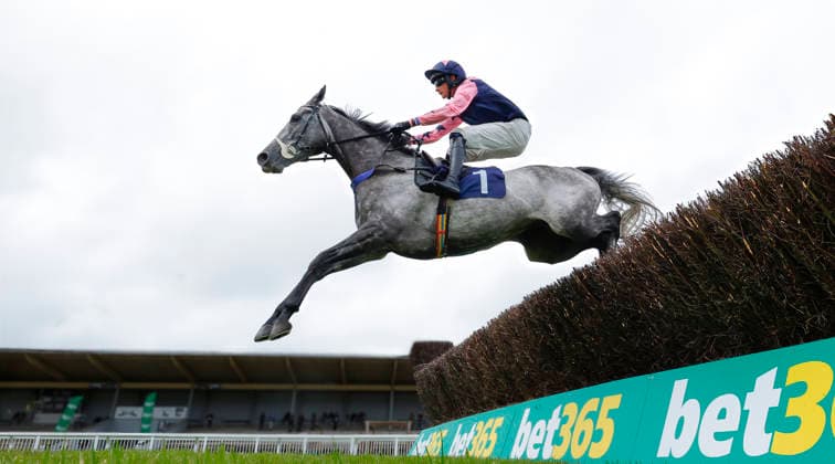 Newton Abbot Races, Newton Abbot, UK - 3 June 2026 Race winner, Dunkerque ridden by William Shanahan. Race 2 - 3:00 Newton Abbot - Edmundson Electrical Torquay NovicesÕ Handicap Chase (GBB Race) (Class 4) at Newton Abbot Racecourse, Newton Abbot, Devon, England - Newton Abbot Newton Abbot Racecourse Devon England Copyright: xPhilxMingo PPAUKx PPA-278668