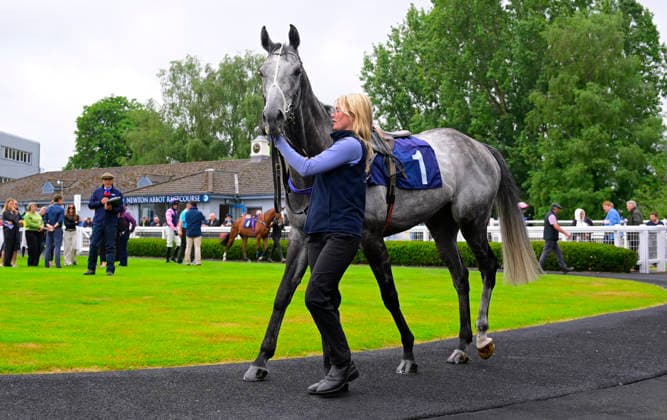 Newton Abbot Races, Newton Abbot, UK - 3 June 2026 Race winner, Dunkerque ridden by William Shanahan wins best turned out. Race 2 - 3:00 Newton Abbot - Edmundson Electrical Torquay NovicesÕ Handicap Chase (GBB Race) (Class 4) at Newton Abbot Racecourse, Newton Abbot, Devon, England - Newton Abbot Newton Abbot Racecourse Devon England Copyright: xPhilxMingo PPAUKx PPA-278671