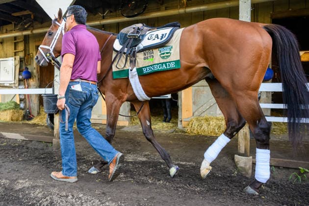 June 3, 2026, USA: Renegade prepares to workout at Saratoga Racecourse in Saratoga Springs, New York on June 3, 2026. Eclipse Sportswire CSM USA - ZUMAcs17 20260603_faf_cs17_023 Copyright: x CarlosxJ.xCalox