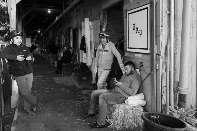 June 3, 2026, USA: Scene from the backside at Saratoga Racecourse in Saratoga Springs, New York on June 3, 2026. Eclipse Sportswire CSM USA - ZUMAcs17 20260603_faf_cs17_032 Copyright: x CarlosxJ.xCalox