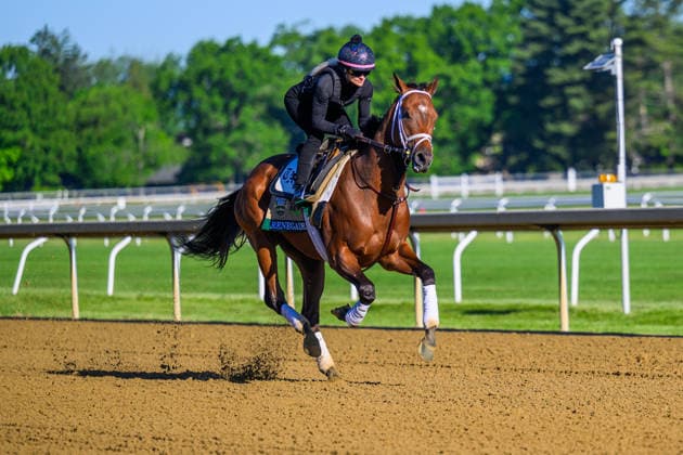 June 3, 2026, USA: Renegade at Saratoga Racecourse in Saratoga Springs, New York on June 3, 2026. Eclipse Sportswire CSM Horse Racing 2026: Belmont Stakes Preparations JUN 3  - ZUMAcs17 20260603_faf_cs17_016 Copyright: x CarlosxJ.xCalox