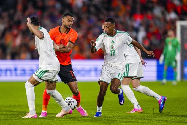 Fußball, Testspiel, Niederlande - Algerien #4 ROTTERDAM , 03-06-2026 , Stadium Feijenoord de Kuip , season 2025 2026 , FIFA International football , friendly match between The Netherlands and Algeria , picture shows Netherlands player Cody Gapko and Algeria player Rafik Belghali Netherlands - Algeria (friendly)  x204134915x Copyright: