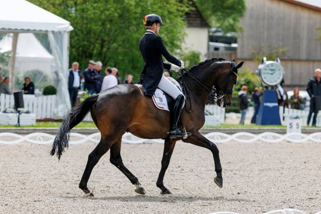 BALVE - LONGINES Balve Optimum 2026, BALVE - LONGINES Balve Optimum 2026 WANDRES Frederic (GER), Bluetooth OLD Grand Prix de Dressage - Qualifikationsprüfung DressurpruÌˆfung Kl. S