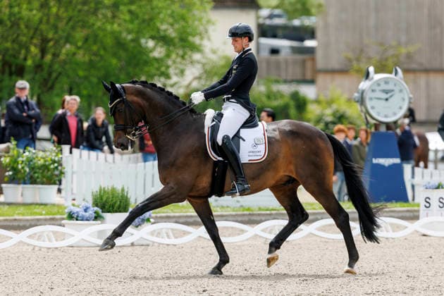 Sport Bilder des Tages BALVE - LONGINES Balve Optimum 2026, BALVE - LONGINES Balve Optimum 2026 WANDRES Frederic (GER), Bluetooth OLD Grand Prix de Dressage - Qualifikationsprüfung DressurpruÌˆfung Kl. S**** Deutsche Meisterschaft Dressur Balve, Reitanlage Schloss Wocklum 04. June 2026 - *** BALVE LONGINES Balve Optimum 2026, BALVE LONGINES Balve Optimum 2026 WANDRES Frederic GER , Bluetooth OLD Grand Prix de Dressage Qualifier Dressage class S German Dressage Championships Balve, Equestrian Center Schloss Wocklum 04 June 2026