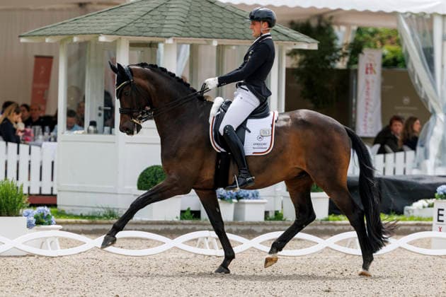 BALVE - LONGINES Balve Optimum 2026, BALVE - LONGINES Balve Optimum 2026 WANDRES Frederic (GER), Bluetooth OLD Grand Prix de Dressage - Qualifikationsprüfung DressurpruÌˆfung Kl. S